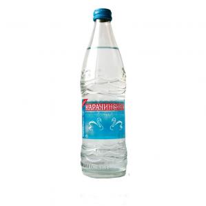 Минеральная питьевая вода Карачинская 0,5л стекло негазированная 